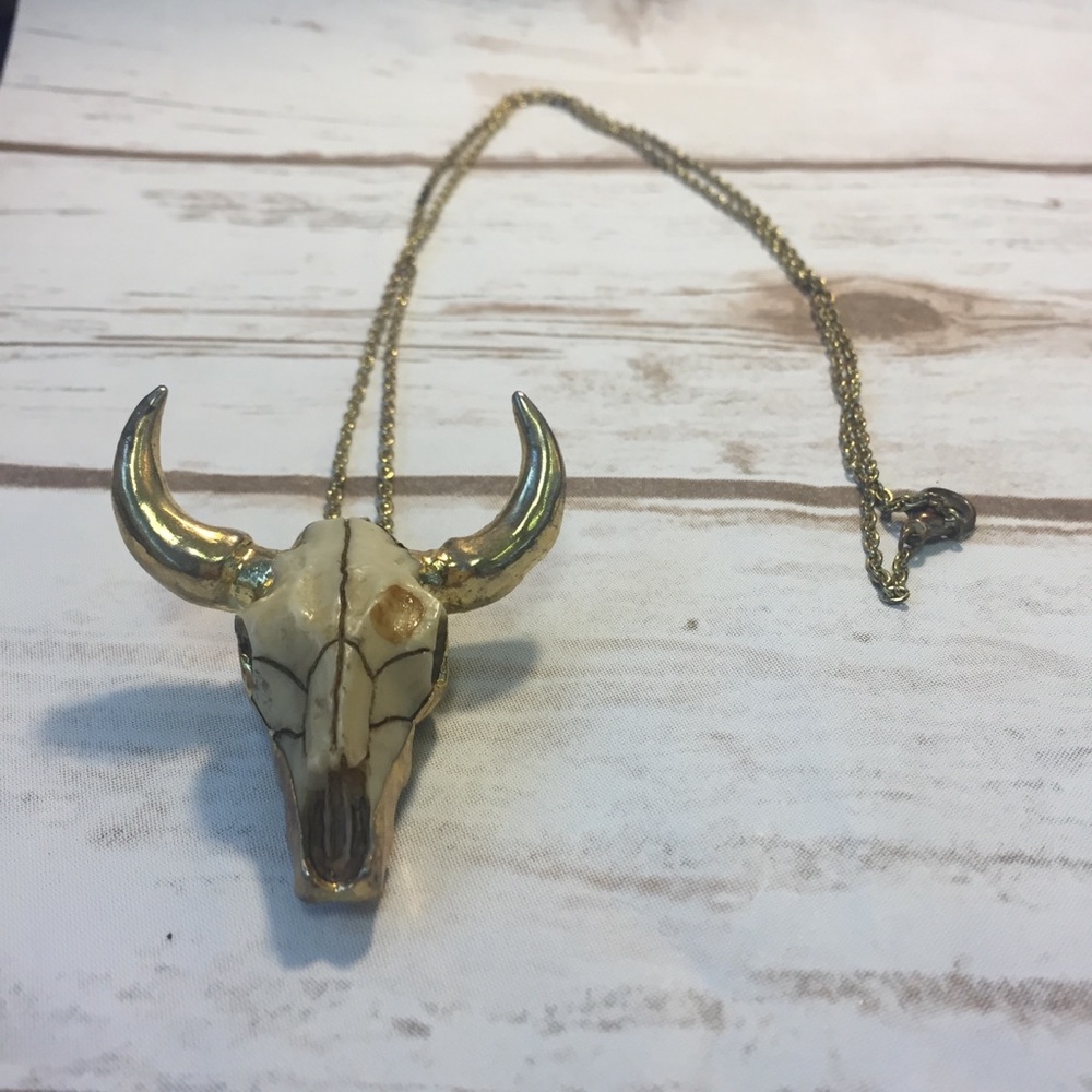 Bull horn necklace
